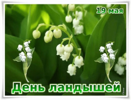 19 мая — День ландыша. 19 мая — День ландыша.